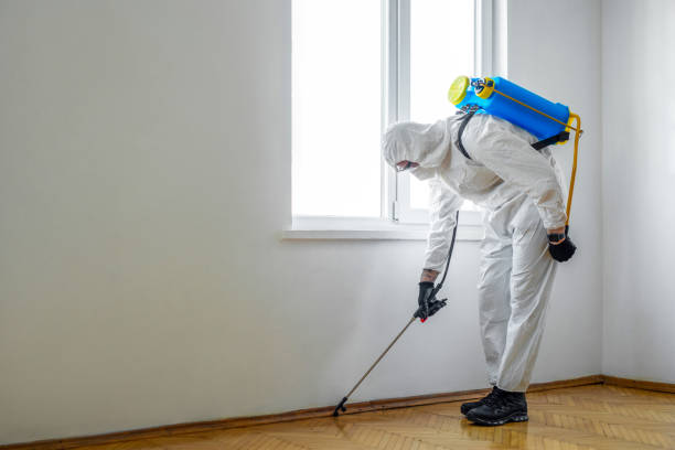 Pest Control for Restaurants in Grayson, GA