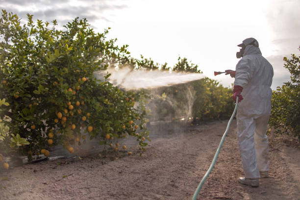 Professional Pest Control in Grayson, GA