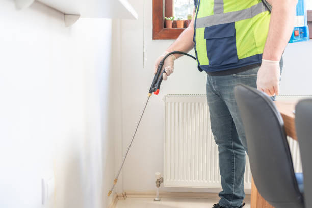 Best Flea Control Services  in Grayson, GA