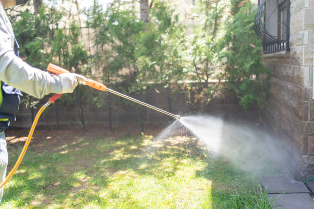 Best Residential Pest Control  in Grayson, GA