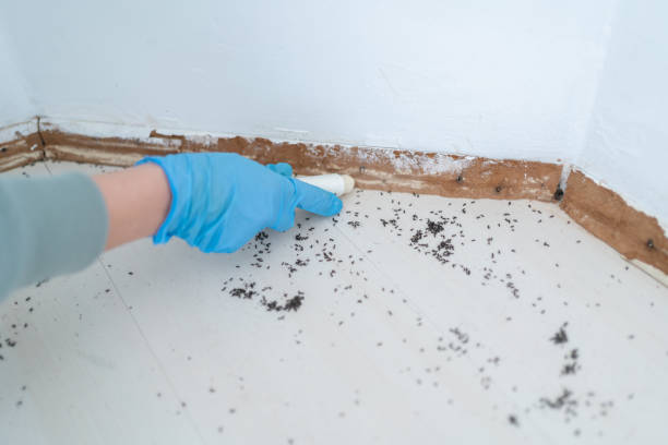 Best Commercial Pest Control Services  in Grayson, GA